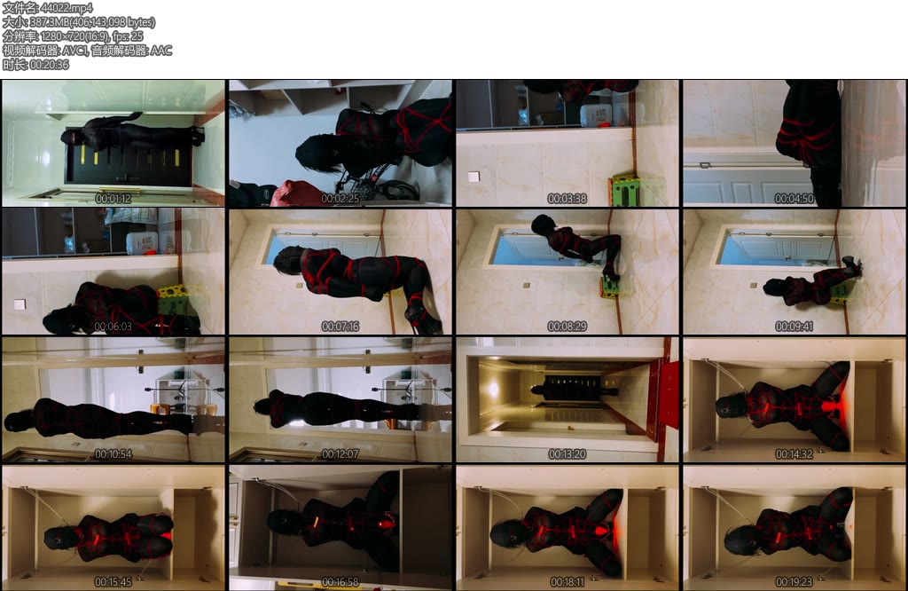 [CD伪娘] 小诡的自缚116剧情项终生监禁的女大盗-丝依依