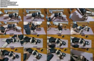 [网友原创] 我的媳妇 第52弹、GC到差点失禁了、（侧吊、吊带袜、丝袜头套、QZGC）-丝依依