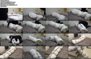 [新月原创] 玉箫第一次用被子包裹她还用绳子绑了几圈最后挣扎着掉到地上才挣脱出来-丝依依