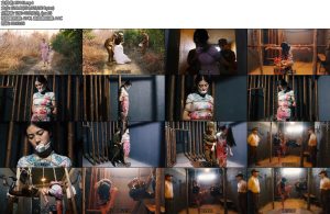 [胜景影视] 最后的电波上集张雪收到紧急情报带着刚收到的情报返回驻地时被捕-丝依依