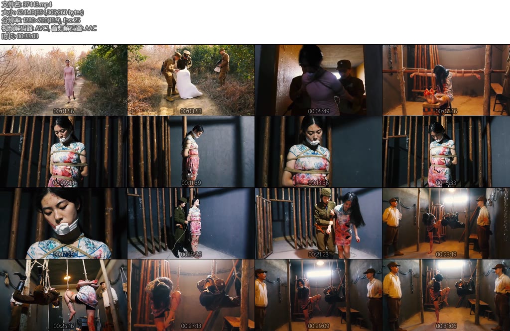 [胜景影视] 最后的电波上集张雪收到紧急情报带着刚收到的情报返回驻地时被捕-丝依依