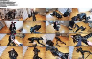 [D-Lemon] ラバー拘束室内散歩電マ責め-丝依依