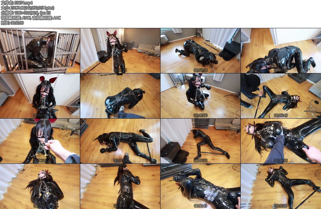 [D-Lemon] ラバー拘束室内散歩電マ責め-丝依依