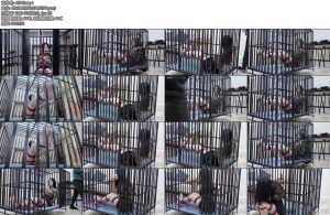 [半岛束艺] 矢崎台长我皮痒了-丝依依