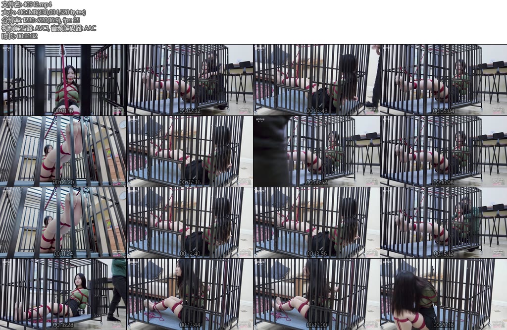 [半岛束艺] 矢崎台长我皮痒了-丝依依