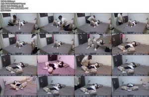 [新月原创] 玉箫性感女仆白丝羞耻折腿绑床缚TD直接贴脸输出强G完全没有任何抵抗机会-丝依依