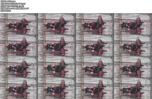 [坎喵原创] 蔚蓝档案cos妃咲M腿悬吊放置斐济杯强高-丝依依