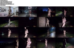 [半岛束艺] 夜照影-丝依依