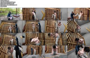 [李大侠] 小夏瑜伽服绑架贩卖-丝依依