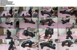 [网友原创] 我的媳妇 137弹、胶带犬形感官剥夺爬行QZGC多次高强度激烈挣扎-丝依依