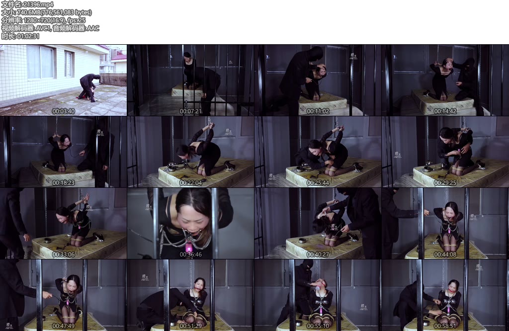 [樱束原创] 绑架特工审问芯片（上-下合并版）-丝依依