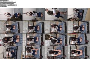 [束缘阁] 晓雪笼中少女胸部电击折磨-丝依依