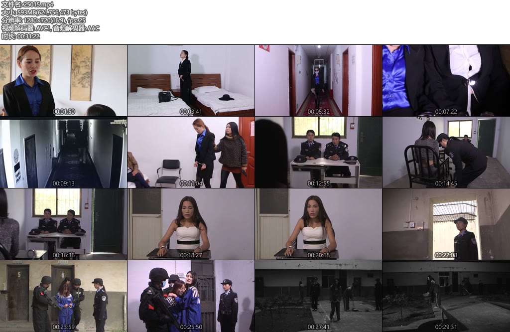 [胜景影视] 法制片伏法记-丝依依