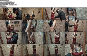 [龙飞原创] 前男友的报复李珂儿-丝依依