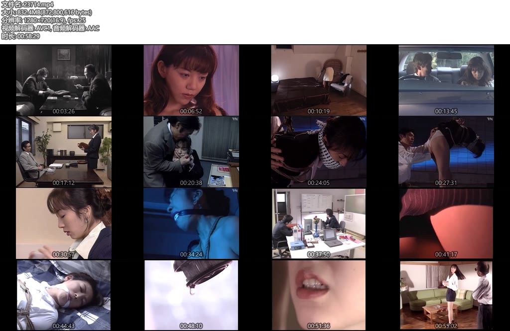 [亚洲绳艺] 奴隷秘書スペシャル6-丝依依