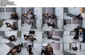 [Raymond] 训练小狗狗1第一次就很高强度的技巧和体能训练在藤条和TD的帮助下自愿训练-丝依依