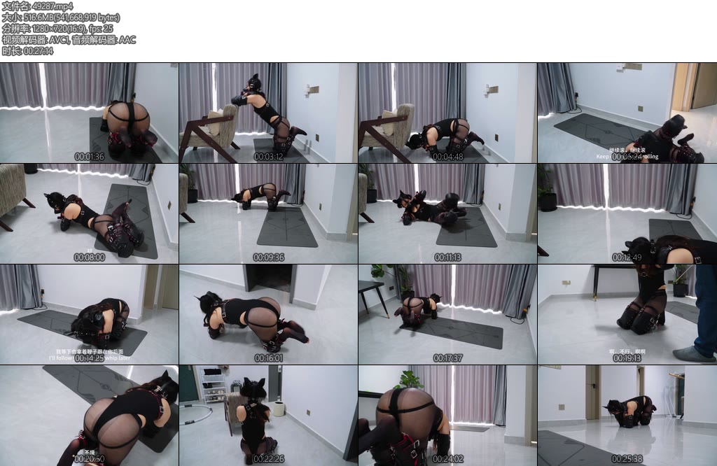 [Raymond] 训练小狗狗1第一次就很高强度的技巧和体能训练在藤条和TD的帮助下自愿训练-丝依依