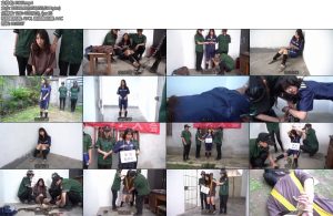 [结绳而治] 结邦遗恨-丝依依