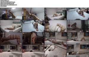 [半岛束艺] 皮卡很盲的一天-丝依依