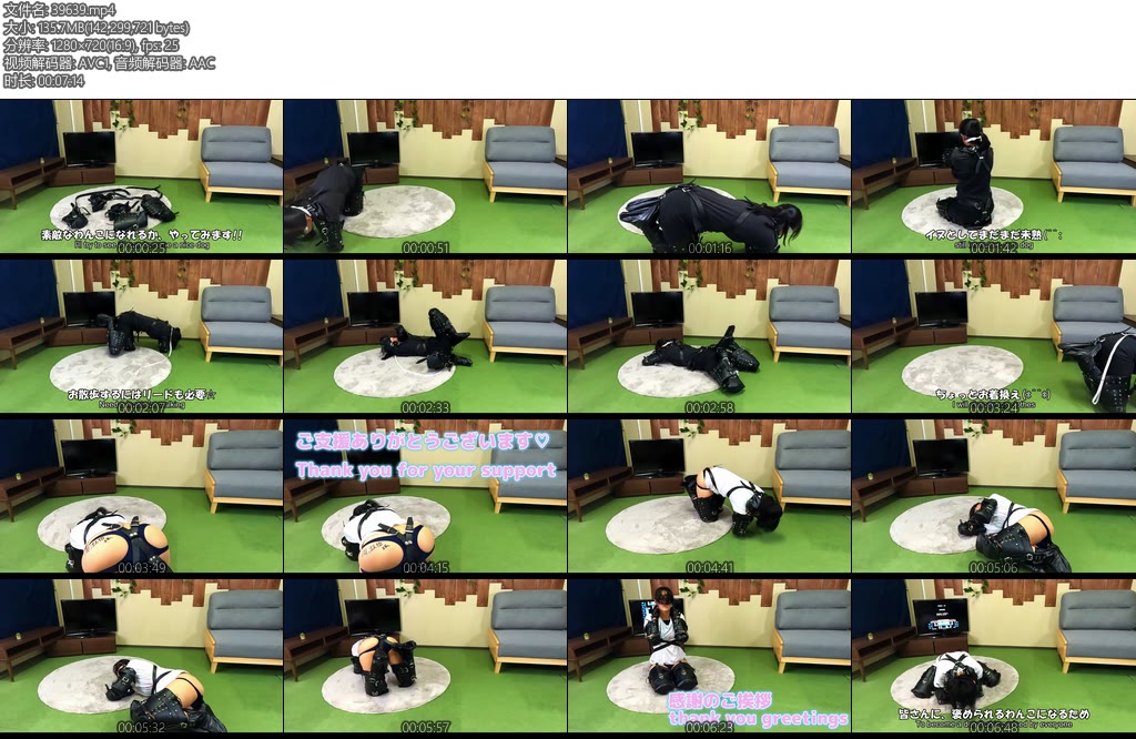 [亚洲绳艺] はじめてイヌ拘束りっぱなわんこに-丝依依