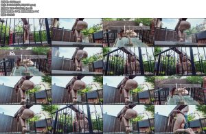 [半岛束艺] 布玛半岛澡堂的第五位客人-丝依依