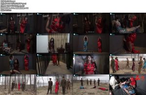 [胜景影视] 血溅山城（下）-丝依依