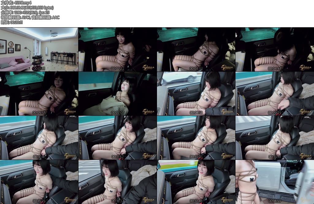 [半岛束艺] 落叶一绑就湿简称一绑湿-丝依依