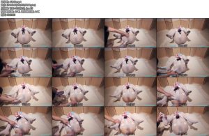 [小羽原创] 倔强 小仆人行犬全包袜定拍下-丝依依