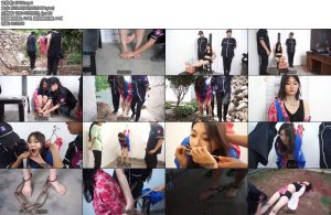 [结绳而治] 悲惨女谍江一帆版-丝依依