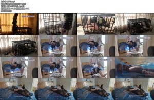 [雨桐原创] 188CM长腿伪娘女王被诱骗笼子囚禁花式吊后手直臂驷马释放沦为雨桐的M-丝依依