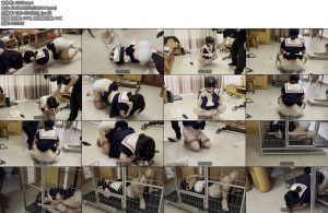 [缚予原创] 你的女神我的狗慕狗薇薇驯化记口枷舌头伸出K9跪爬牵引爬行训练踩踏骑乘臣服脚踢下面狗姿训练狗盆喝水狗笼-丝依依