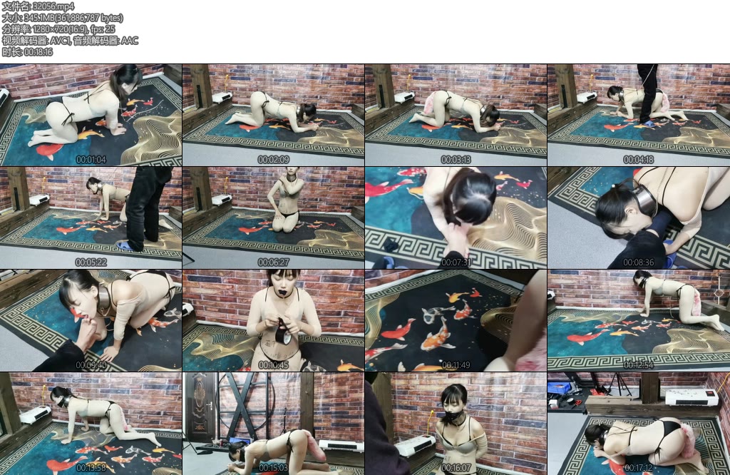 [飞天原创] 悦儿努K9SP恋足训练把主子的臭袜子堵嘴随后左右开弓打的满脸统红-丝依依