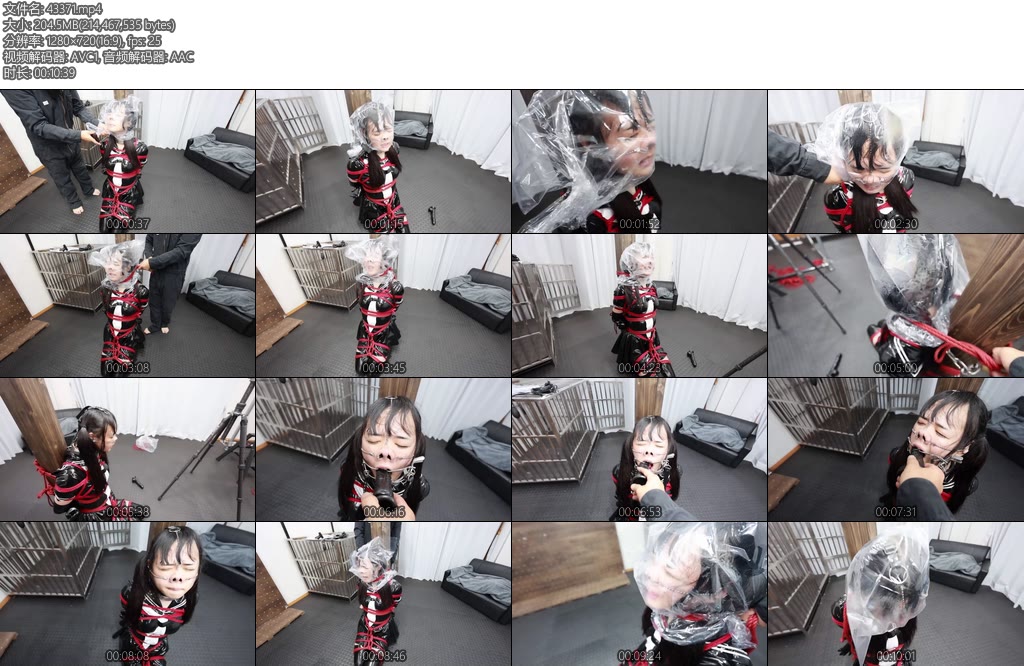 [亚洲绳艺] Lemon 柱縛りX_Xcomplete plan-丝依依