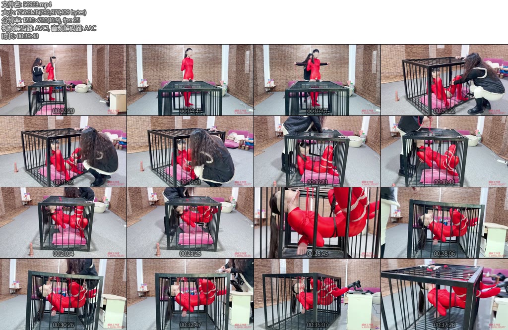 [媚娘原创] 笼中悬吊的瑾初-丝依依