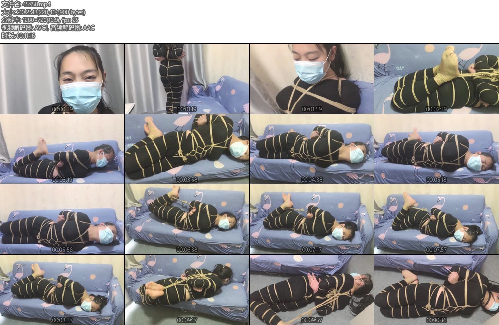 [朱雀雀] 黑衣驷马-丝依依