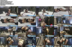 [雯雯原创] 唯美性感内置tj-丝依依