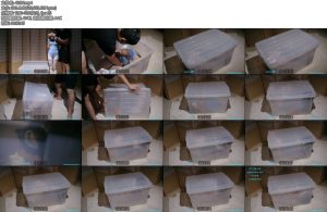 [小羽原创] 倔强 小琦箱子囚禁定拍-丝依依