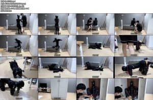 [恋鱼日记] 小鱼的K9多项训练爬行遛狗开口器练习口J被放在衣柜里强高-丝依依