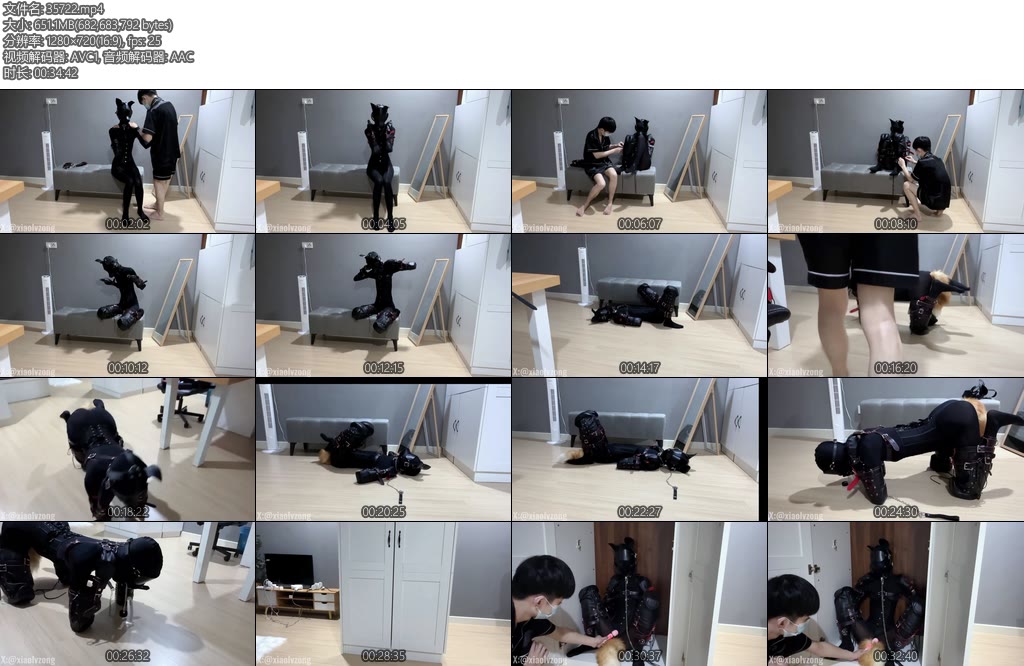 [恋鱼日记] 小鱼的K9多项训练爬行遛狗开口器练习口J被放在衣柜里强高-丝依依