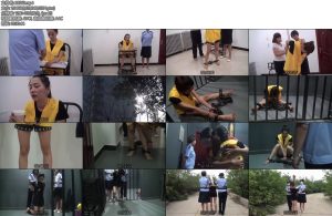 [新雅俗阁] 调落的麻抢之花~雅思-丝依依