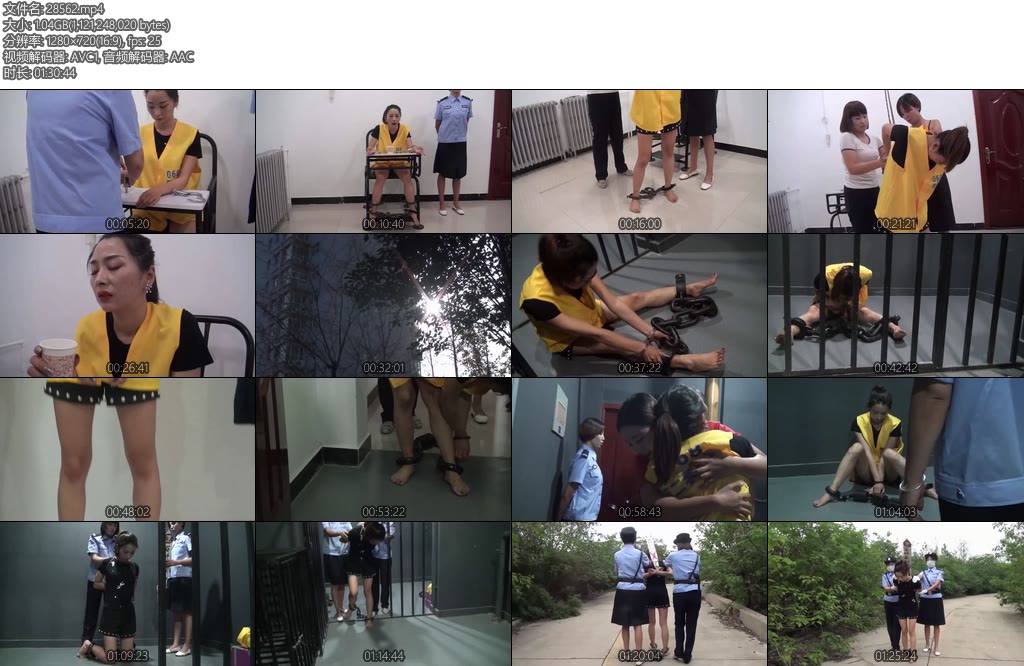 [新雅俗阁] 调落的麻抢之花~雅思-丝依依