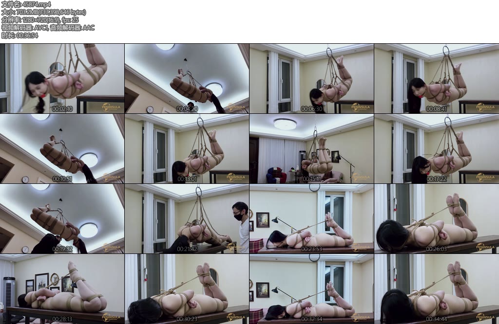 [半岛束艺] 佟司她说喜欢这样飞-丝依依