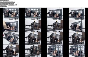 [缚心室] House of gord复刻之兔笼新玩法开发一个很费M的姿势郊狼直接开到100炮机输出下浑身颤抖叫得嗓子都哑了-丝依依