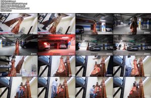 [半岛束艺] 我需要一个车模-丝依依