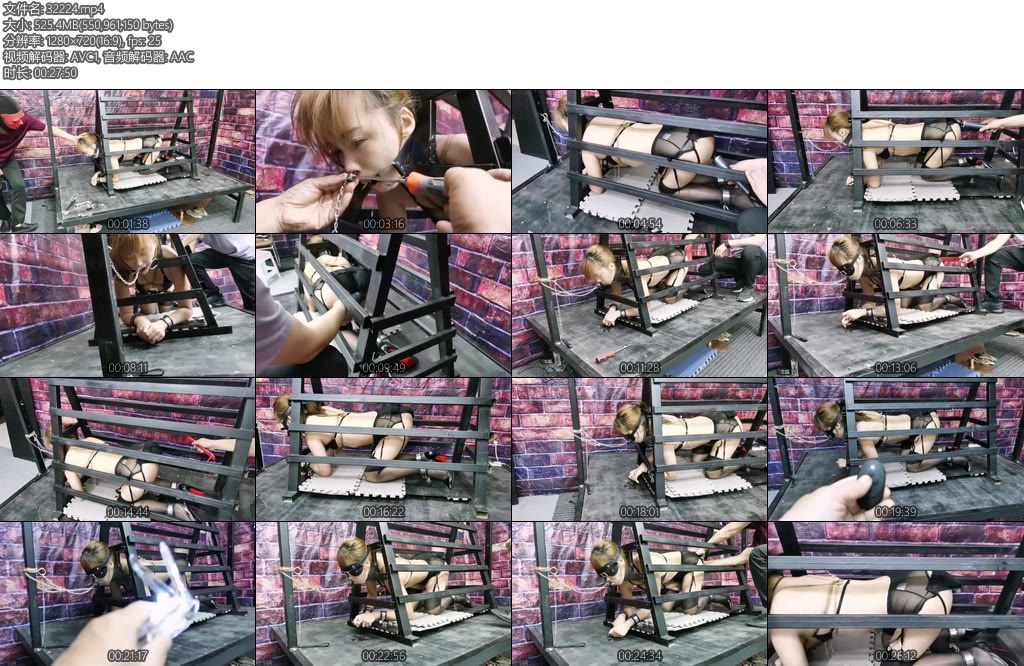 [飞天原创] 奇形怪装笼子的秘密-丝依依