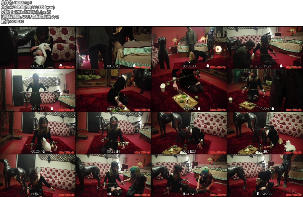 [禅狱原创] BL镣铐女仆生活体验-丝依依