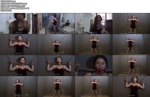 [胜景影视] 劫持（下）-丝依依