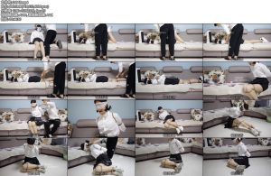 [子衿原创] 独居的护士菲菲,下夜班被歹徒跟踪到家里迷晕-丝依依