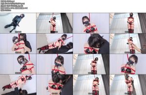 [惩戒学园] 落入陷阱的女景官连体皮衣长靴比基尼蛇缚多蛋墙高多重墙高极限高朝呼吸抑置-丝依依