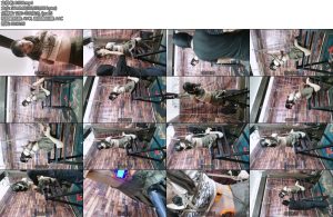 [飞天原创] 悦儿奴看到铁马缠着二个快乐棒很轻松地坐上去坐上去才知道引部疼痛难忍还被强制带羊具囗球电动-丝依依